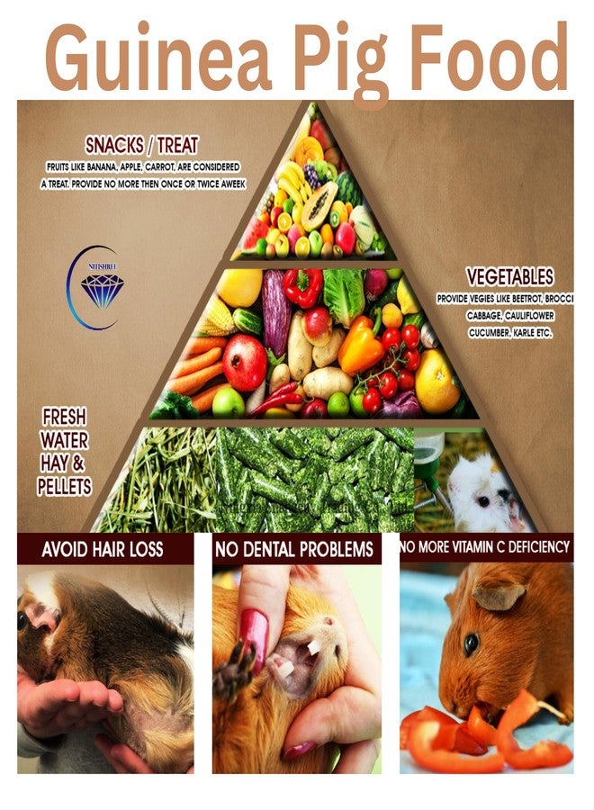 نيتيشري بريميوم حبيبات طعام خنازير غينيا - 1 كجم | نظام غذائي غني بالعناصر الغذائية، مكونات أساسية، لجميع مراحل الحياة - Image 3