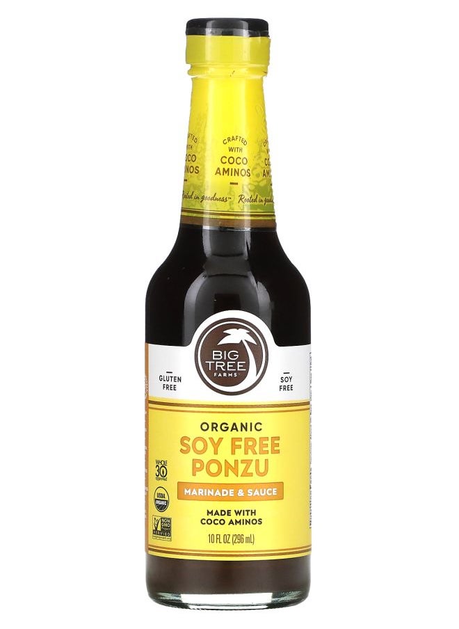 BIG TREE FARMS Organic Soy Free Ponzu Marinade & Sauce 10 fl oz (296 ml) 