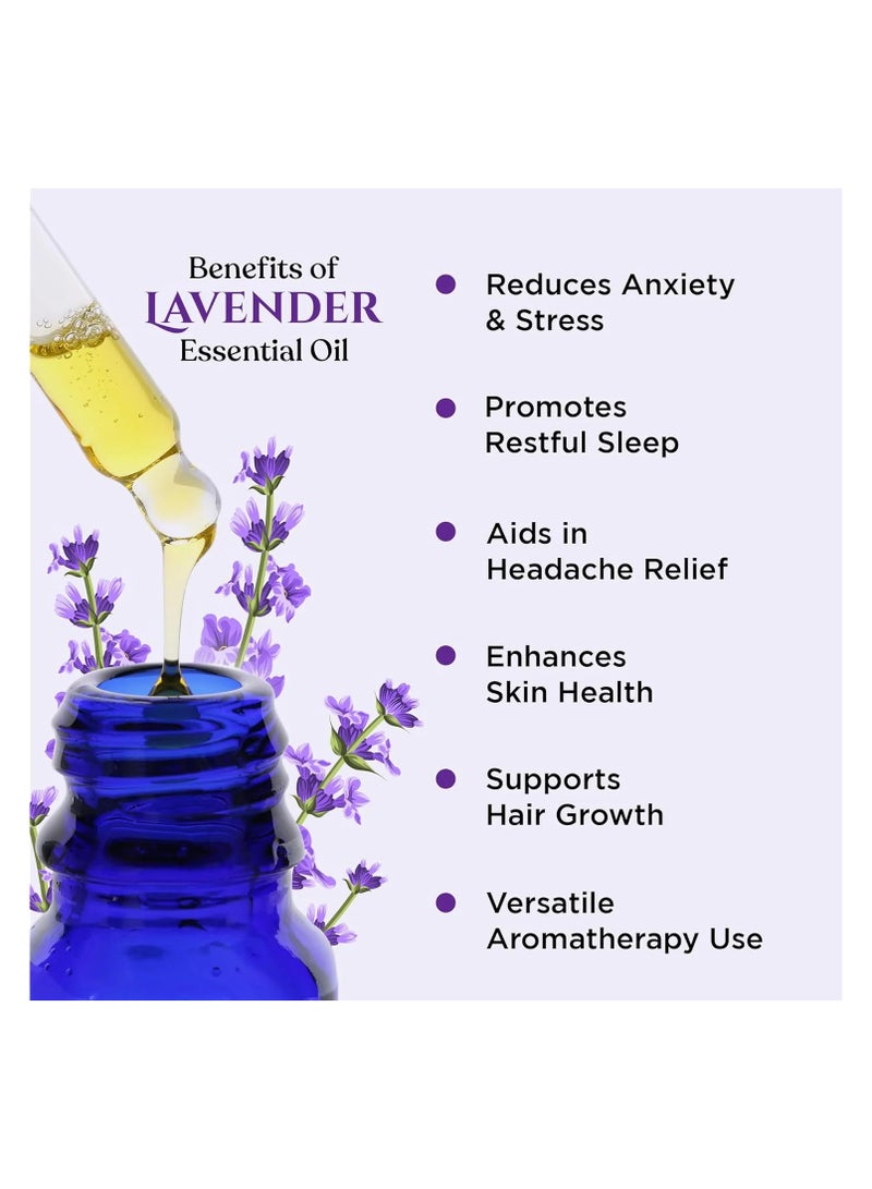 Rey Naturals ReyNaturals Lavender Essential Oil pure 100 natural 15 ml - Image 3