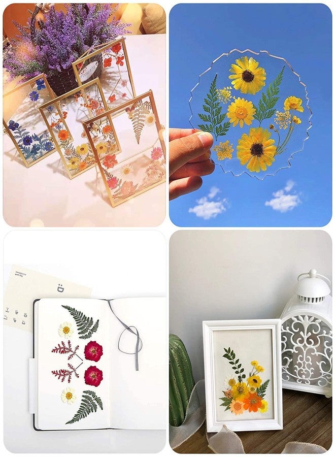 Litvibes Dried Pressed Real Flowers Colorful Natural Dried Flowers Daisies for Candles Handmade Art & Crafts Epoxy DIY Resin Pendant Jewellery Gifts Accessories Nail Art - Pack of 40 Flowers - Image 3
