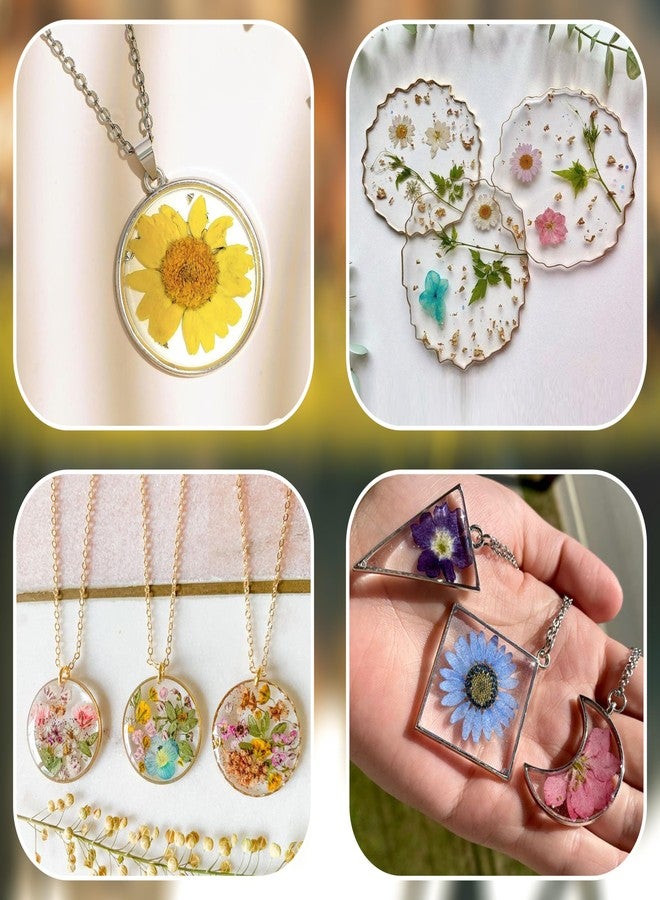 Litvibes Dried Pressed Real Flowers Colorful Natural Dried Flowers Daisies for Candles Handmade Art & Crafts Epoxy DIY Resin Pendant Jewellery Gifts Accessories Nail Art - Pack of 40 Flowers - Image 1