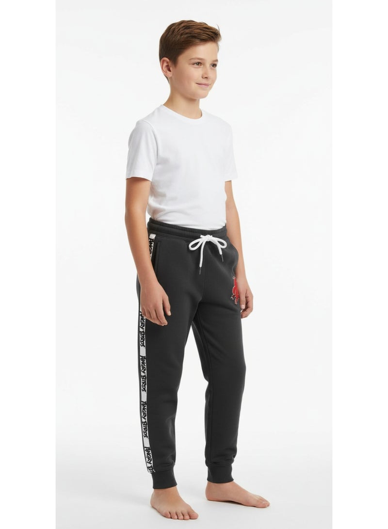 Angry Birds سروال جوجر للأولاد من أنغري بيردز - Image 2