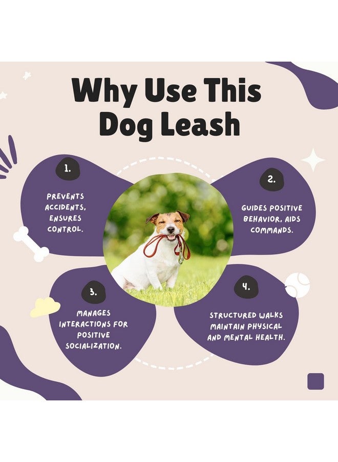 Emily Pets Nylon Dog Leash Durable Training Lead, Strong Padded Handle For Walking Running Of Small Medium, Large Dogs (Purple, Medium) - Image 5