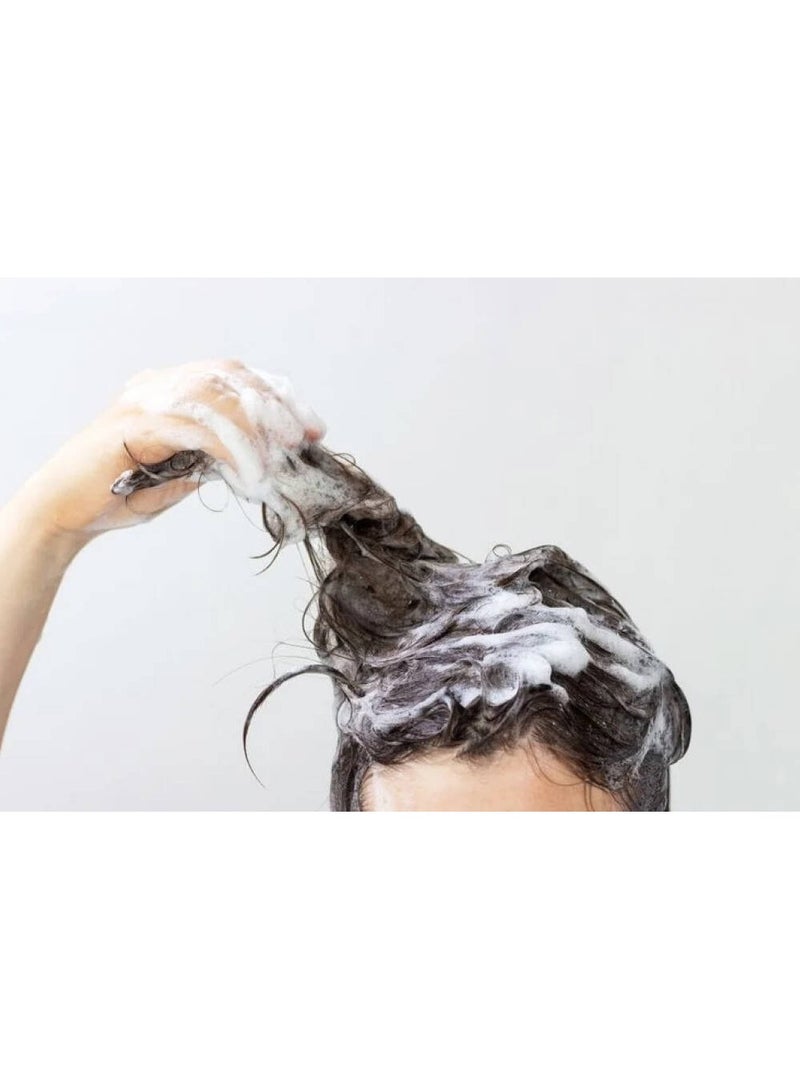 L'OREAL PARIS Loreal Paris Elvive Extraordinary Oil Jojoba Intense Nourishing Shampoo 400ML - Image 4