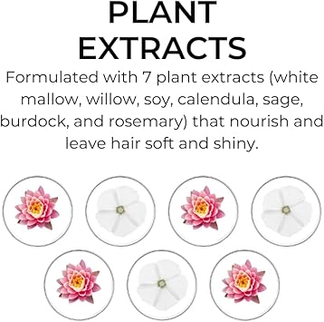 Phyto كريم النهار المرطب PHYTO مع 7 نباتات للشعر الجاف 50 مل - Image 3