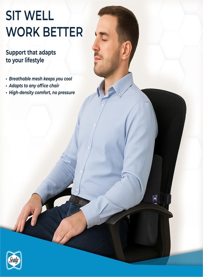 Sealy وسادة دعم أسفل الظهر من سيالي لكرسي المكتب ومقعد السيارة - تخفيف آلام أسفل الظهر، وسادة أسفل الظهر من رغوة الذاكرة ودعامة الظهر لتصحيح الوضعية - Image 2