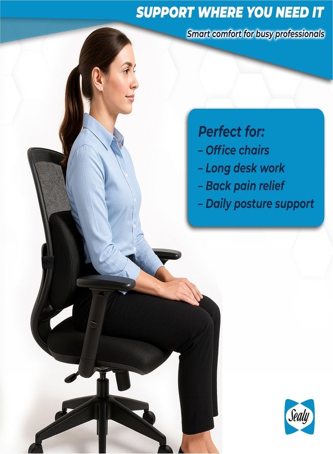 Sealy وسادة دعم أسفل الظهر من سيالي لكرسي المكتب ومقعد السيارة - تخفيف آلام أسفل الظهر، وسادة أسفل الظهر من رغوة الذاكرة ودعامة الظهر لتصحيح الوضعية - Image 4