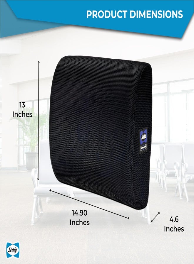 Sealy وسادة دعم أسفل الظهر من سيالي لكرسي المكتب ومقعد السيارة - تخفيف آلام أسفل الظهر، وسادة أسفل الظهر من رغوة الذاكرة ودعامة الظهر لتصحيح الوضعية - Image 5