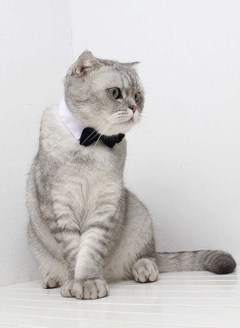 طوق ربطة عنق للحيوانات الأليفة للقطط والكلاب، أحمر، مقاس S - Image 5