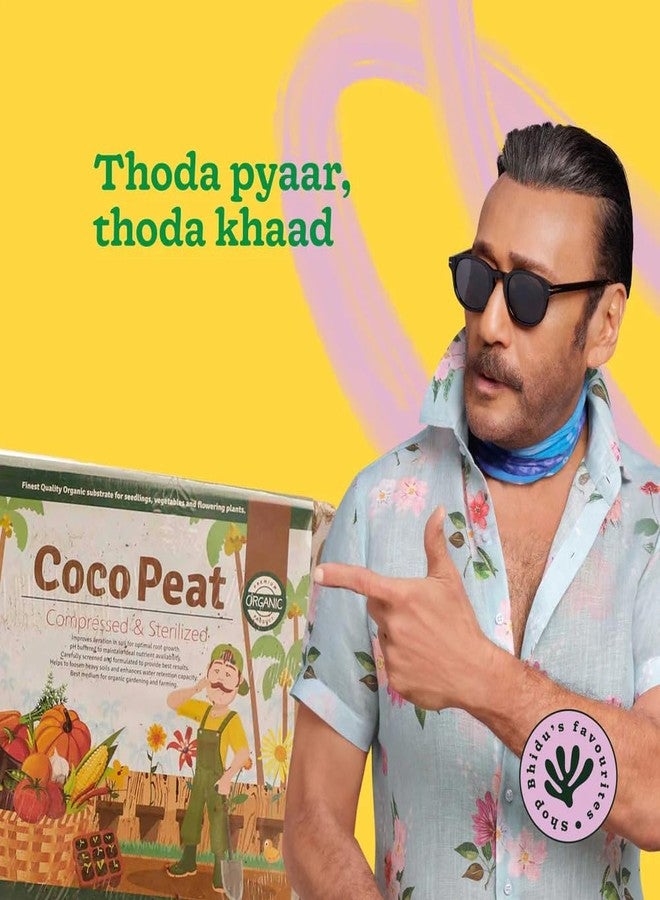 أوجاو مكعبات جوز الهند UGAOO بوزن 1 كجم لنباتات الحدائق المنزلية | وسط زراعة من ألياف جوز الهند المضغوطة والمعقمة لإنبات البذور، وخلطة للتربة، والزراعة الداخلية والخارجية، وتهوية التربة - Image 2