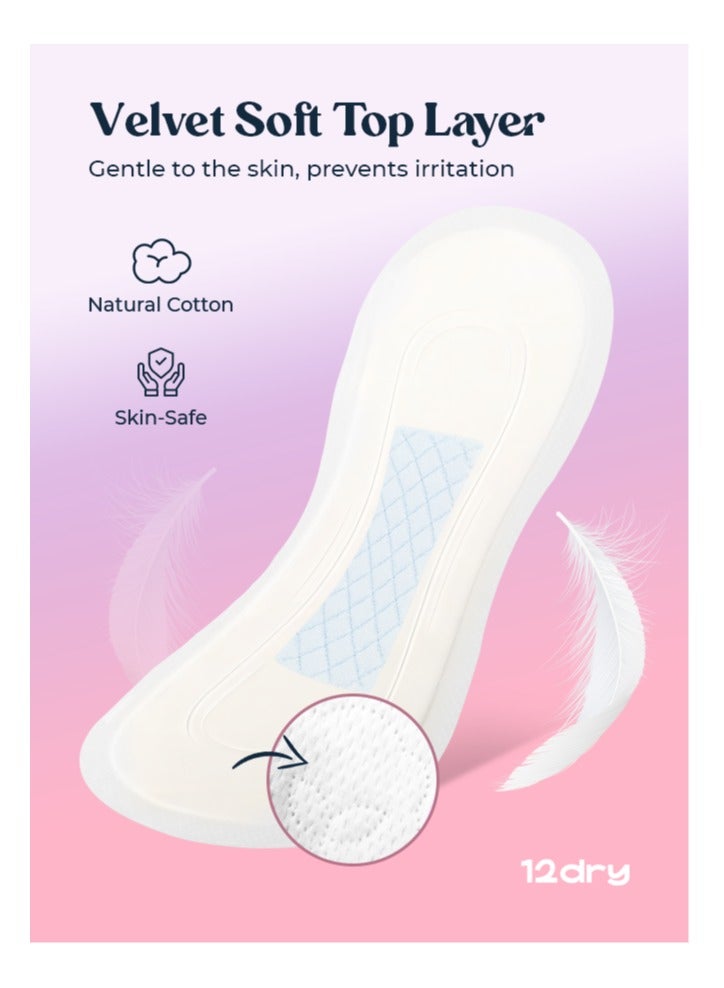 12dry Ultra-Thin Sanitary Pads, 3 Packs × 10 (Total 30 Pads, 245mm) – Super Absorbent, Leak-Proof, Odor & Bacteria Protection, Soft & Breathable with AirCool Technology, FDA & FSC Certified - Image 3