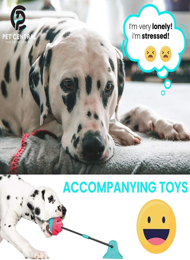 Pet Central Interactive Dog Toys - Suction Cup Dog Chew Toy for Aggressive Chewers - Treat Dispensing Squeaky Toy for Stimulation and Self-Playing - Tug of War Rope with Teeth Cleaning Ball - Image 5