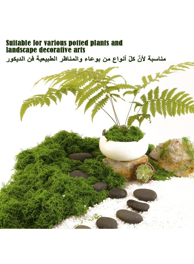 الاصطناعي موس العشب الاصطناعي ، الغابات الخيطية العشب الاصطناعي ، المستخدمة في صنع المناظر الطبيعية ، والجدران ، عيد الفصح ، الاصطناعي النباتات الخضراء الديكور ، أي ديي الحرف اليدوية ، ( الأخضر الداكن 100g ) - Image 4