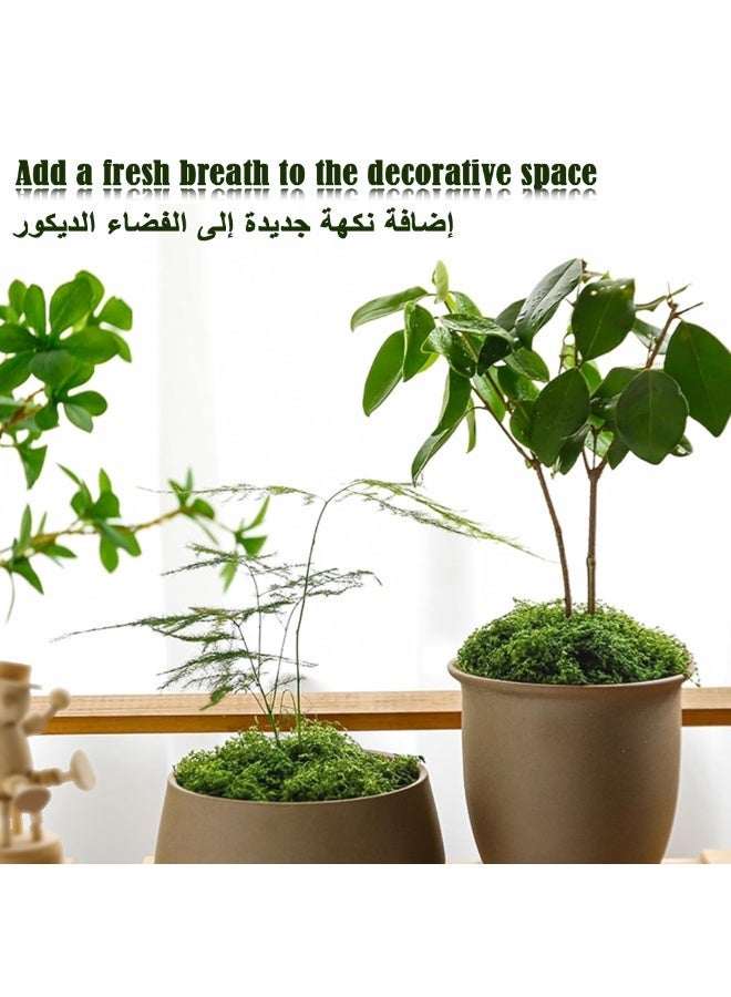 الاصطناعي موس العشب الاصطناعي ، الغابات الخيطية العشب الاصطناعي ، المستخدمة في صنع المناظر الطبيعية ، والجدران ، عيد الفصح ، الاصطناعي النباتات الخضراء الديكور ، أي ديي الحرف اليدوية ، ( الأخضر الداكن 100g ) - Image 5