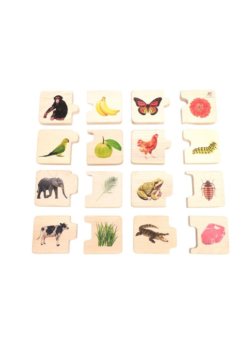 Ariro CHUNKY PUZZLE – Feed The Animals Puzzle Wooden Brain Teaser And Educational Toy For Visual And Mental Discrimination Of Toddlers And Kids, Children's Early Learning & Educational Toys (16 Chunks)  - Image 1