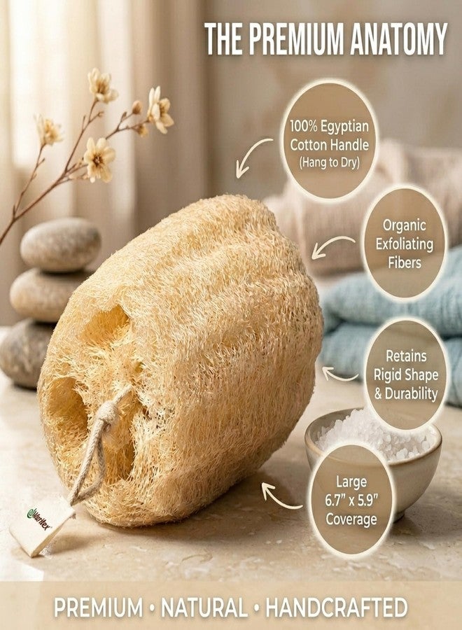 Waritex Organic Egyptian Loofah Sponges Premium Exfoliating Scrubber Bath Set [2 Pack] - Natural Loofah Fiber for Gentle Skin Exfoliation, Deep Clean, Full Body Spa Experience - Image 3