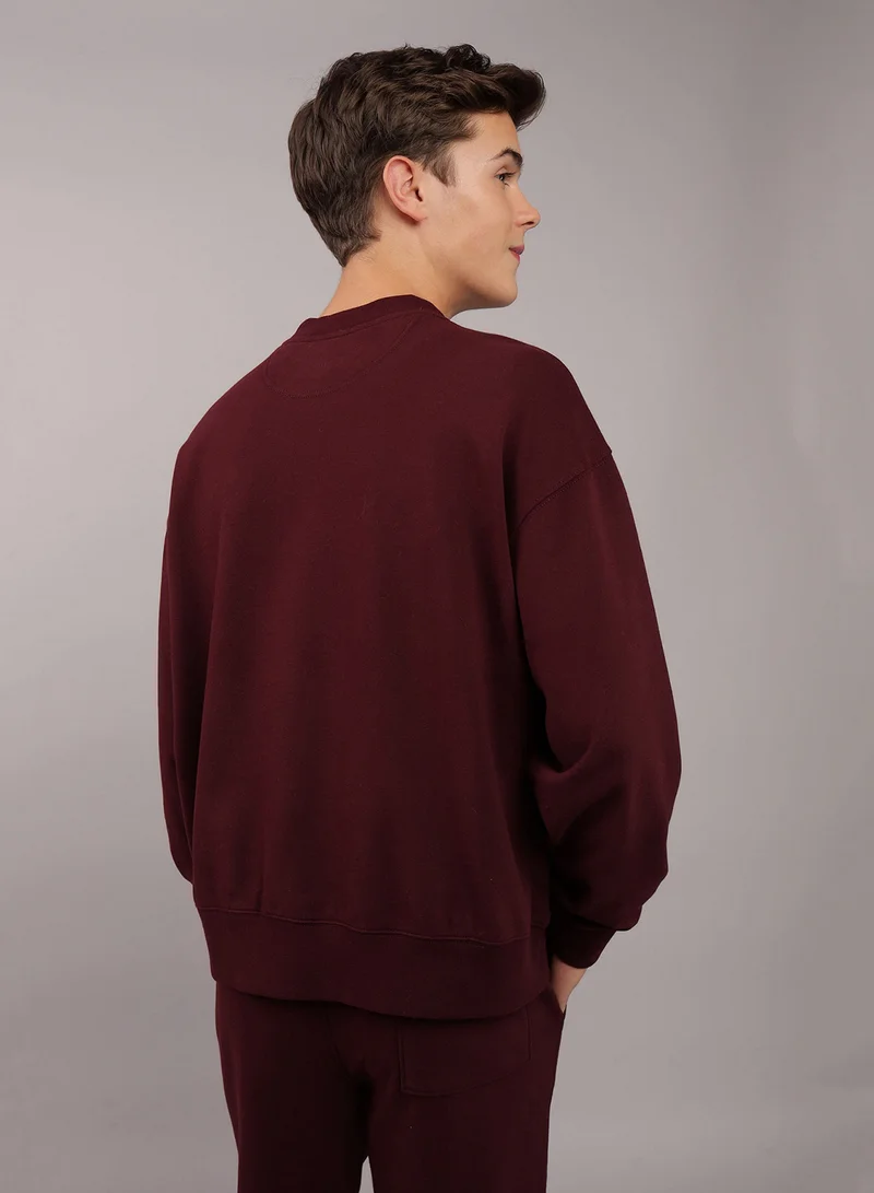 American Eagle Fleece Crew Neck Pullover Sweatshirt