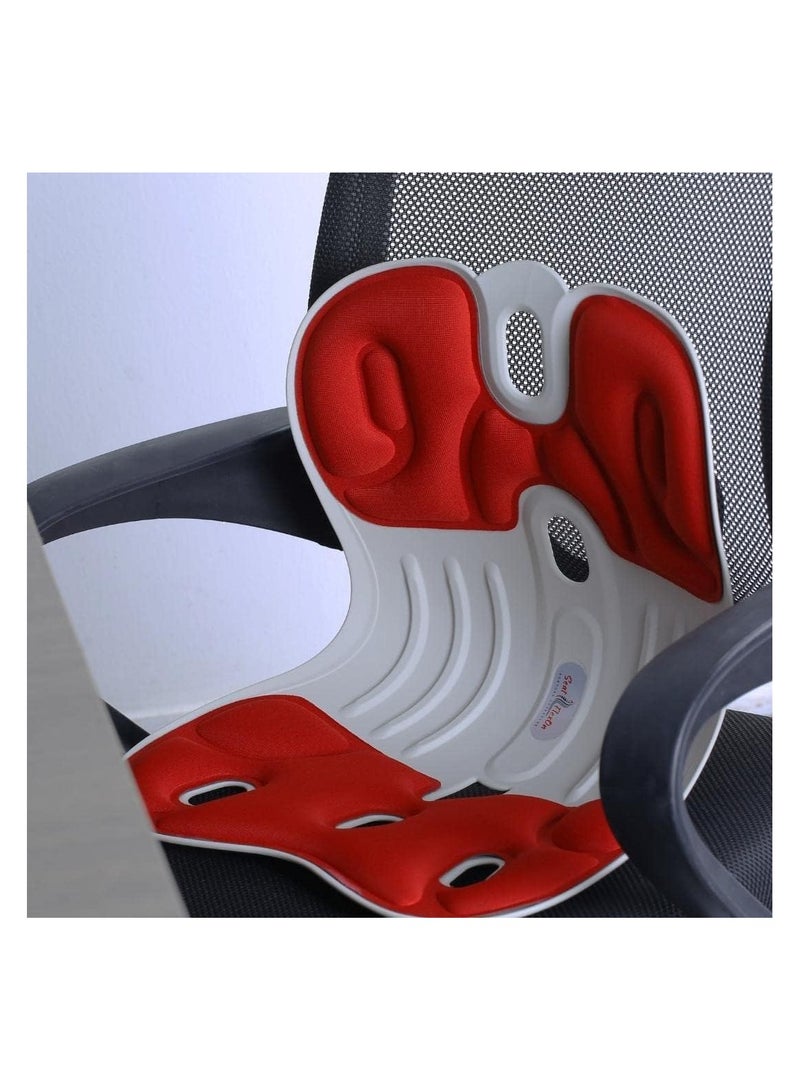 سييت فليكس أون وسادة دعم قطنية من Seat FelxOn، وسادة خلفية من إسفنج الذاكرة النقي ومسند ظهر لتقويم العظام  - Image 2