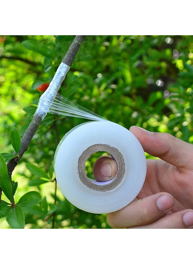 Transparent Plant Grafting Tape 1 Roll 1 97 Inch X 7874 02 Inch Self Adhesive Gardening Wrap - Image 2