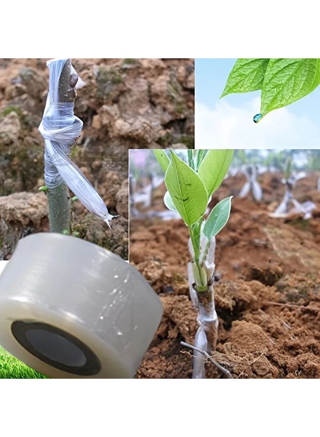 Transparent Plant Grafting Tape 1 Roll 1 97 Inch X 7874 02 Inch Self Adhesive Gardening Wrap - Image 3