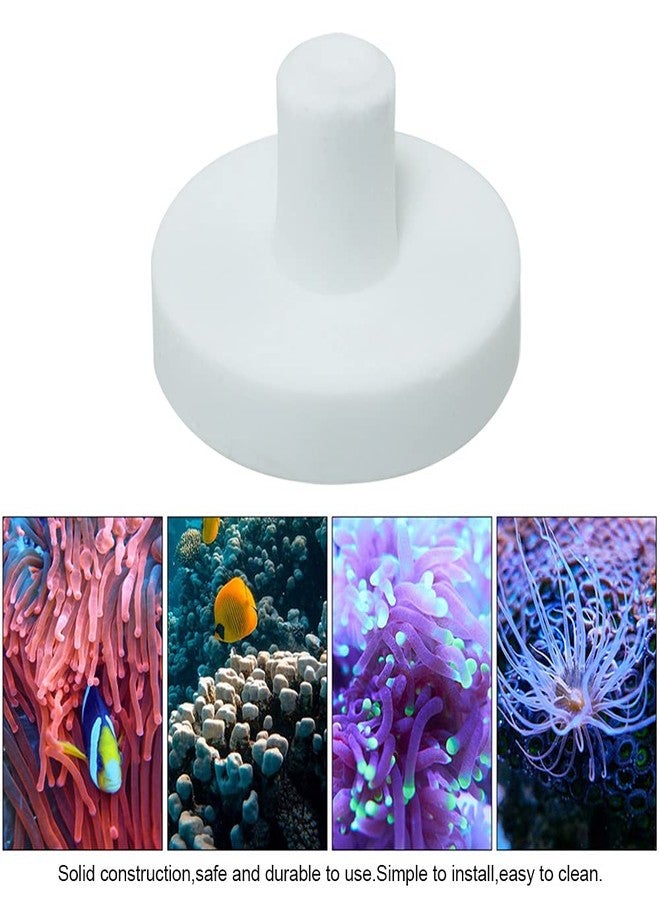 WHYHKJ 12pcs Ceramic Coralline Coral Frag Plugs Coral Frag Stand Fish Tank Supplies, White - Image 4