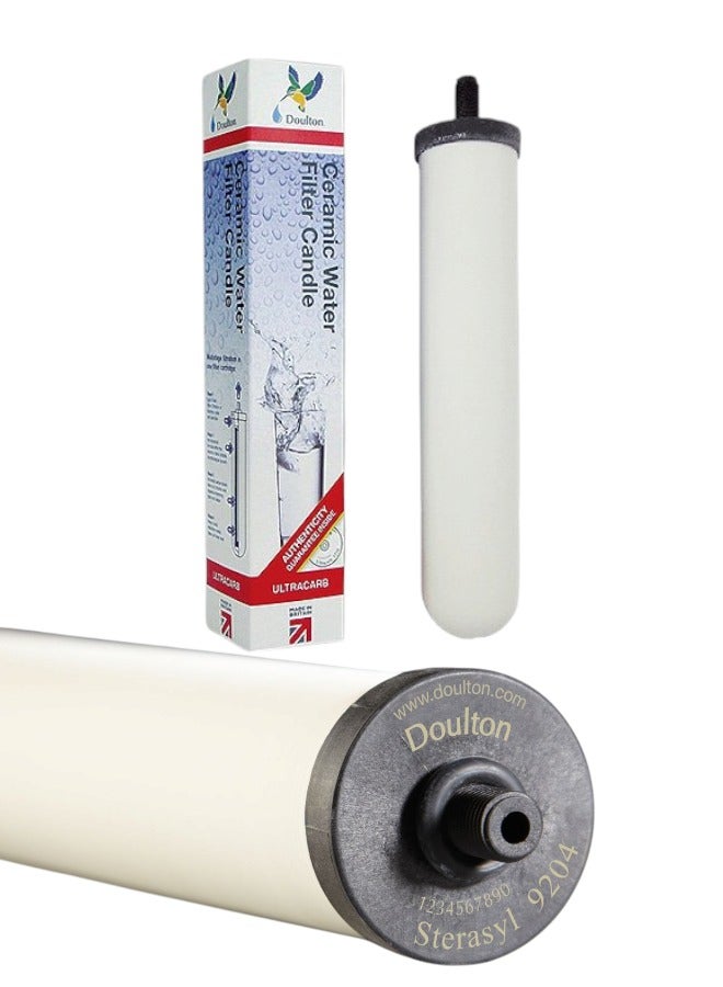 Ceramic cartridge for the original English filter without carbon (Dilton) Strasil