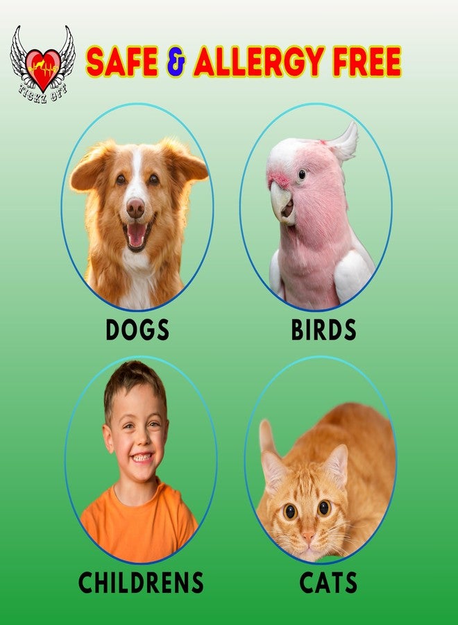 TICKZ OFF منظف أرضيات TICKZ OFF Kennel Wash - يزيل روائح الحيوانات الأليفة ويطهر - آمن للحيوانات الأليفة والأطفال - تركيبة غير سامة وصديقة للحيوانات الأليفة للمنزل والمكتب وأماكن إيواء الكلاب (ياسمين، 1000 مل) - Image 4