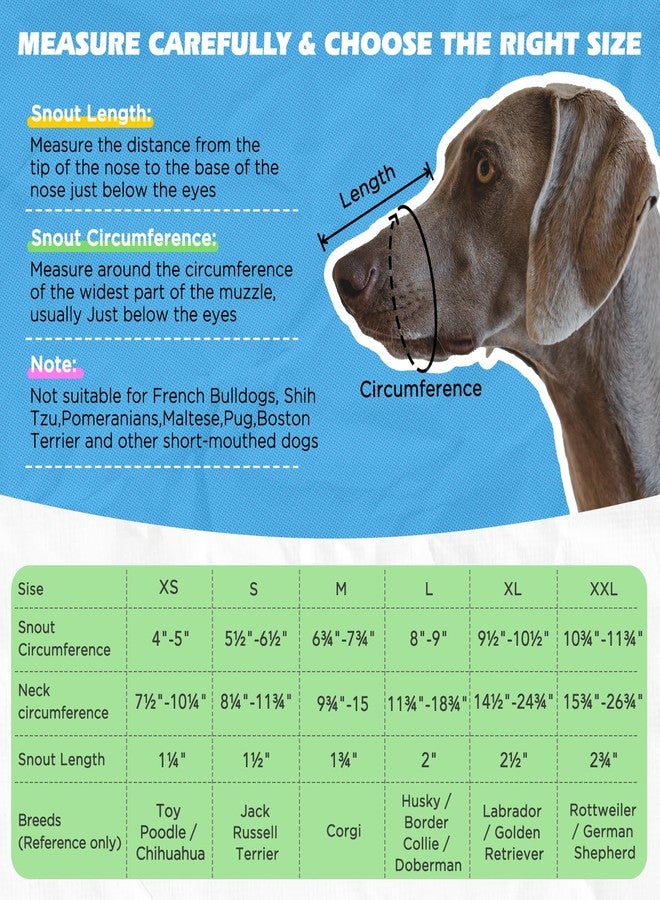 BONTHEE Dog Muzzle,Soft Breathable Mesh, Adjustable Loop Pets Drinkable Anti-Biting Muzzle for Small, Medium, Large Dogs | Lightweight, Comfortable, Easy to Wear-Blue S - Image 5