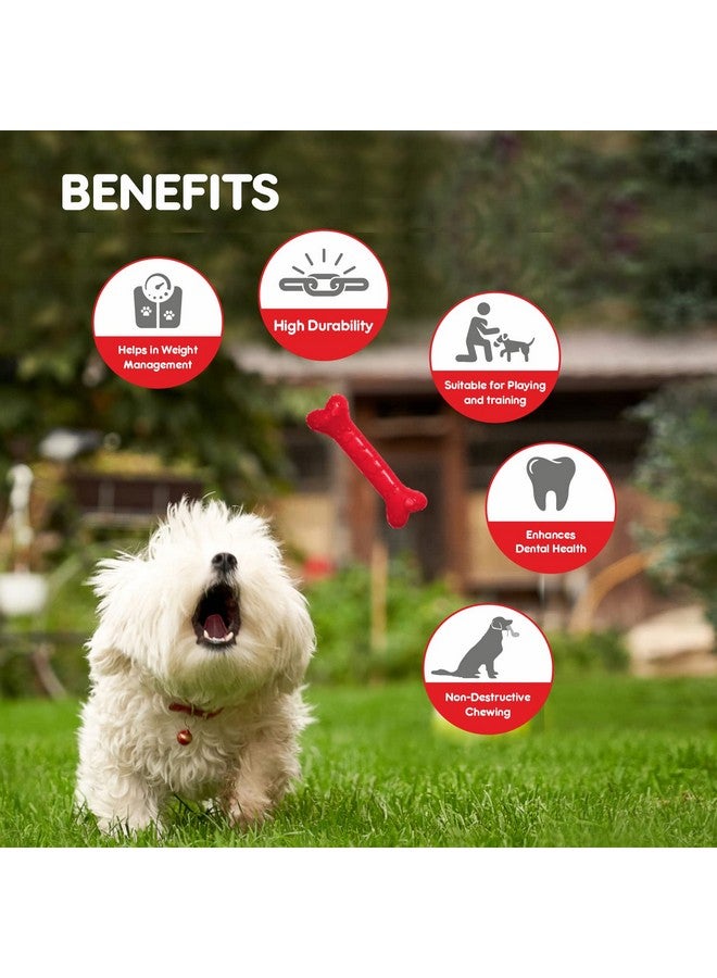 Drools Non-Toxic Rubber Toy For Dogs (Large) 21.59 Cm Pack - Image 5