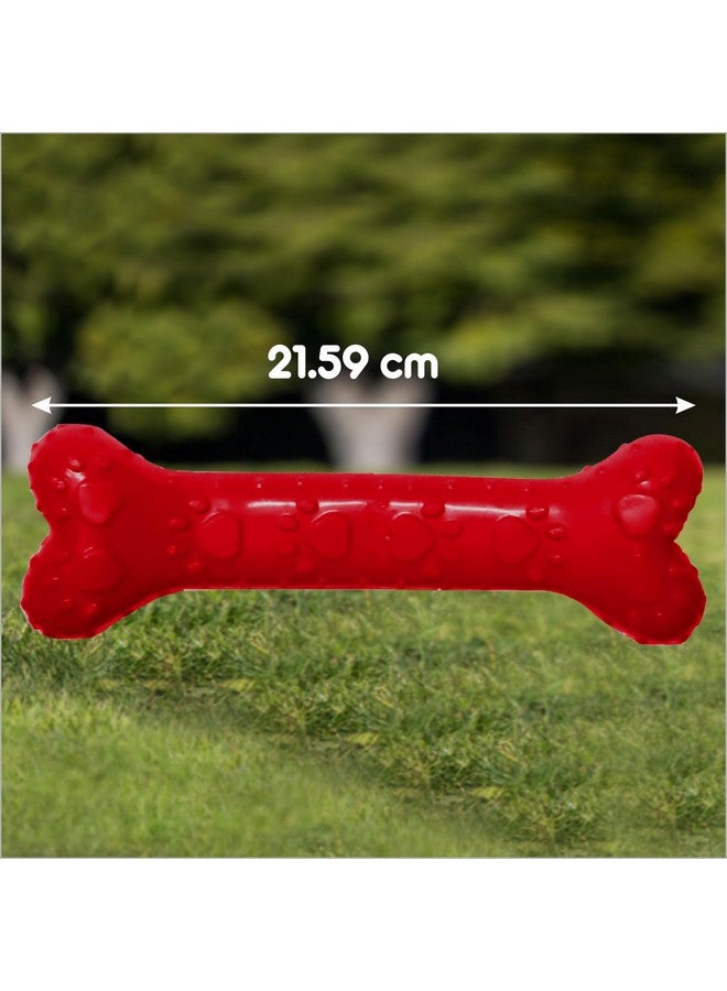 Drools Non-Toxic Rubber Toy For Dogs (Large) 21.59 Cm Pack - Image 4