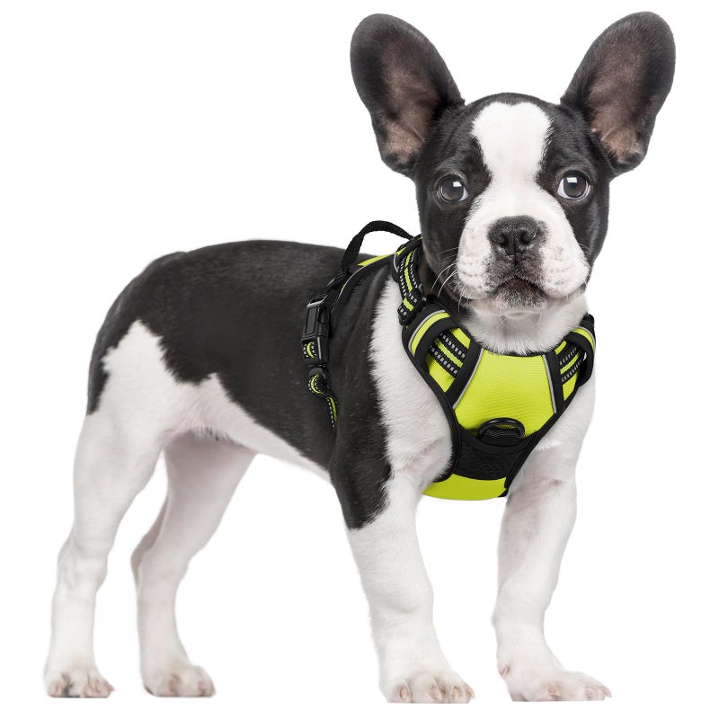 rabbitgoo Dog Harness No Pull with 2 Leash Clips, Adjustable Soft Padded, Reflective Oxford No Choke Pet Vest with Easy Control Handle for Small Dogs, Wild Lime,S - Image 1