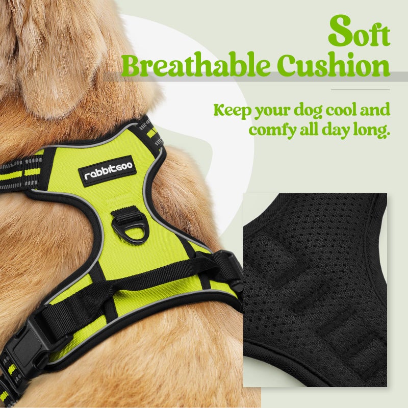 rabbitgoo Dog Harness No Pull with 2 Leash Clips, Adjustable Soft Padded, Reflective Oxford No Choke Pet Vest with Easy Control Handle for Small Dogs, Wild Lime,S - Image 2