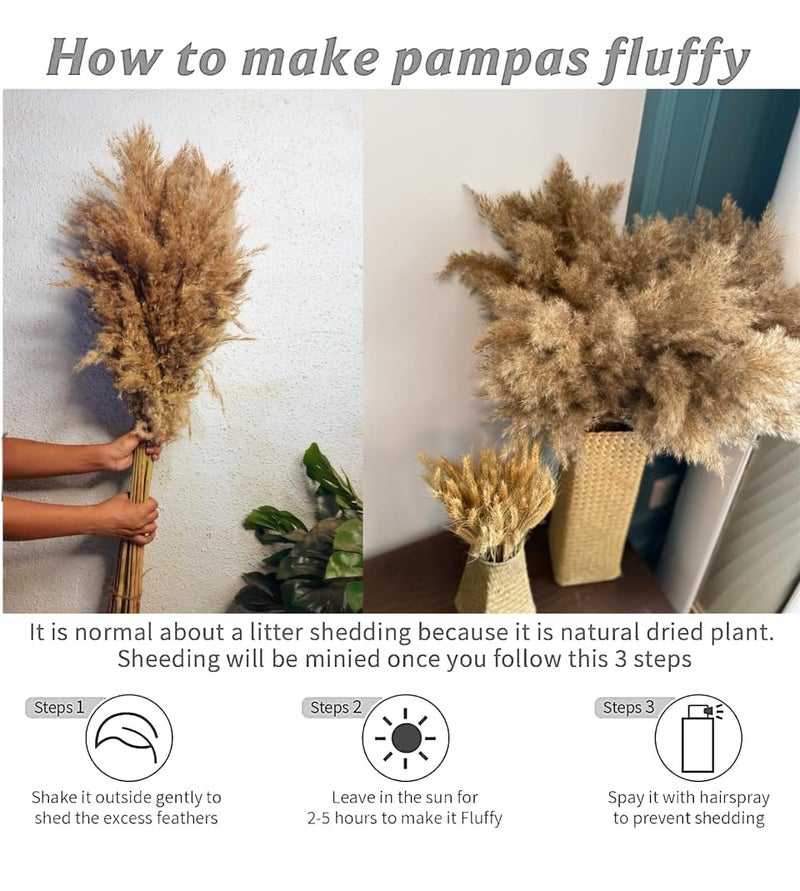 RSP HOME DECOR Natural Dried Pampas Grass Stems 61 cm Brown Set of 6  - Image 2