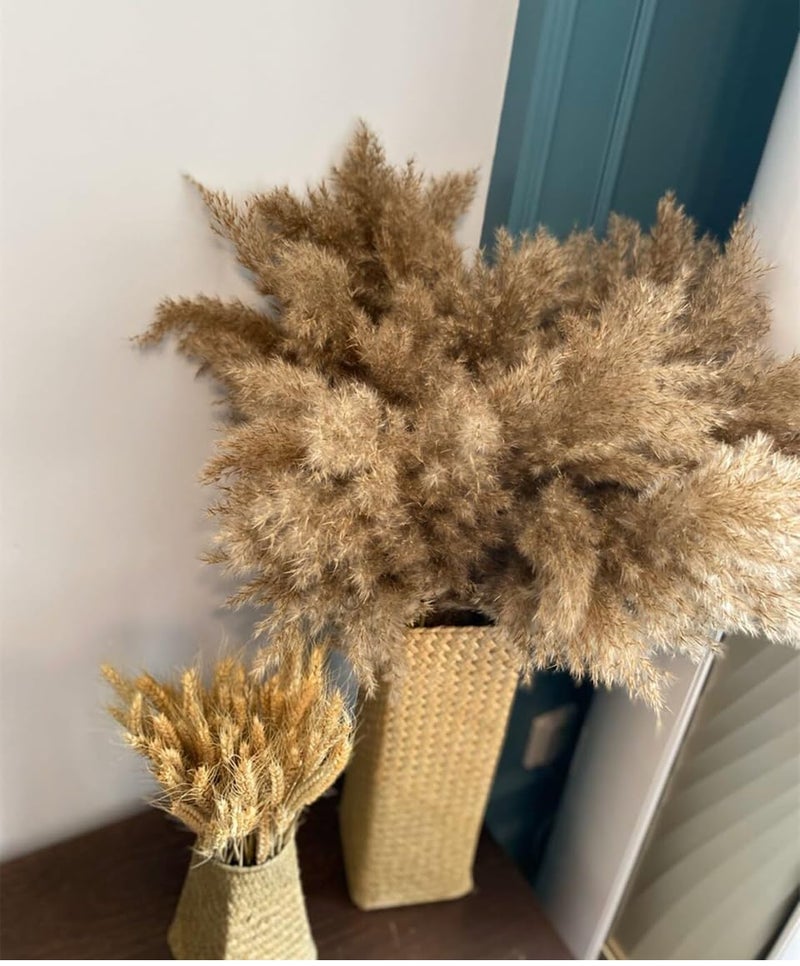 RSP HOME DECOR Natural Dried Pampas Grass Stems 61 cm Brown Set of 6  - Image 1