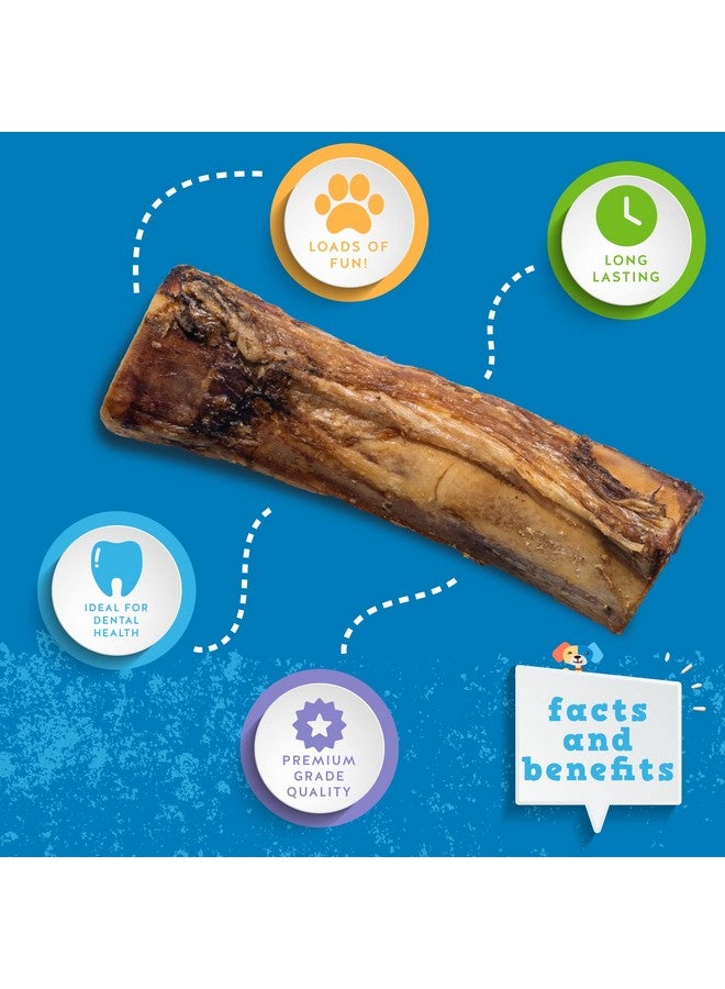 Jack&Pup Marrow Bones For Dogs | 6 Inch Dog Bones For Aggressive Chewers | Single Ingredient, All Natural Long Lasting Chews (3 Pack) - Image 3