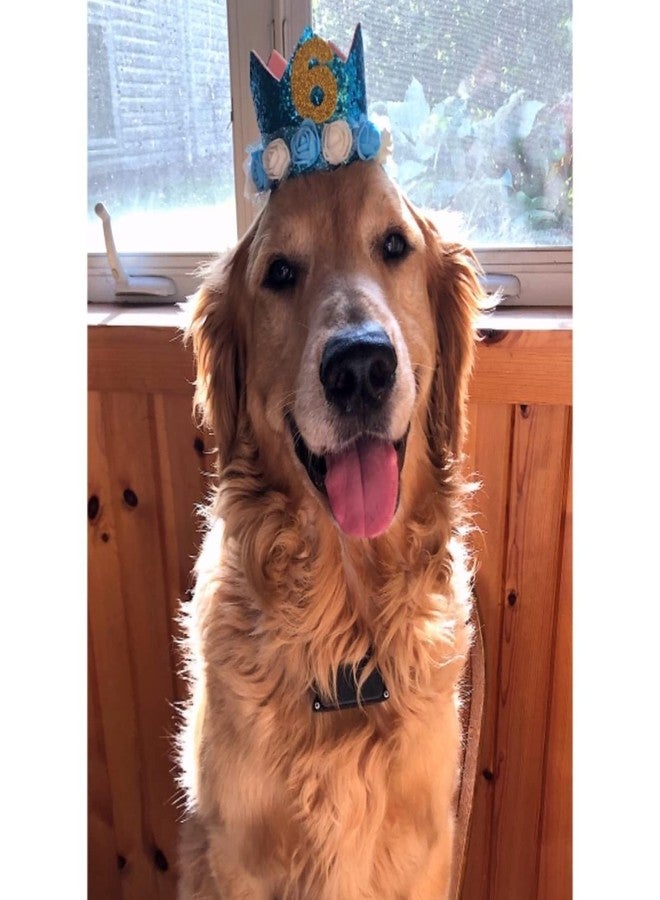 Rimobul Pet Crown Hat Dog Birthday Reusable Birthday Party Crown for Boy Cat Doggie Headband Hats with 0-9 Figures Charms Pet Gift Grooming Accessories with Glue Dots Pack of 1(Blue) - Image 3