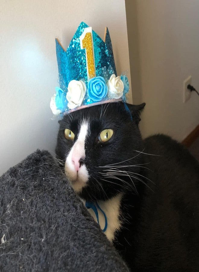 Rimobul Pet Crown Hat Dog Birthday Reusable Birthday Party Crown for Boy Cat Doggie Headband Hats with 0-9 Figures Charms Pet Gift Grooming Accessories with Glue Dots Pack of 1(Blue) - Image 5