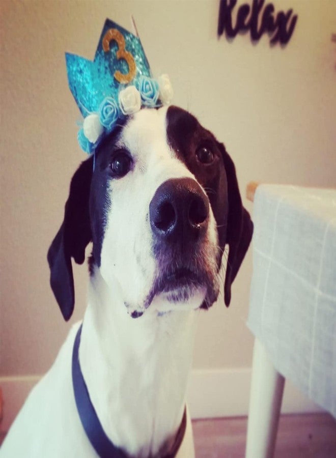 Rimobul Pet Crown Hat Dog Birthday Reusable Birthday Party Crown for Boy Cat Doggie Headband Hats with 0-9 Figures Charms Pet Gift Grooming Accessories with Glue Dots Pack of 1(Blue) - Image 4
