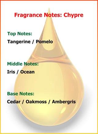 Aroma Diffuser Essential Oil - Chypre Essential Oil - Lris Oak Moss - Oily Essential Oil - Fragrance Essential Oil - Deodorant Essential Oil - Suitable for Waterless Oil Diffusers - 100ml - view 2