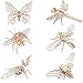 iCHONY 3D Wooden Insect Puzzle 6 Piece Set Insect Animal Skeleton Assembly Model Puzzle DIY Wooden Crafts 3D Puzzle Wood Toys Gifts for Adults Teens Birthday Gifts Christmas - Image 3