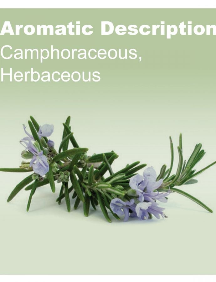 Doterra Rosemary Essential Oil (15Ml) - Image 3