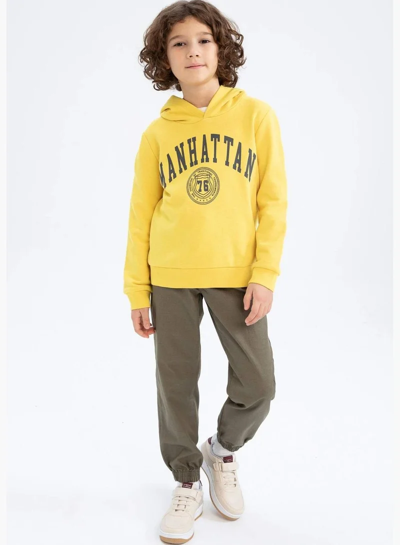 DeFacto Boy Hooded Long Sleeve Knitted Sweatshirt