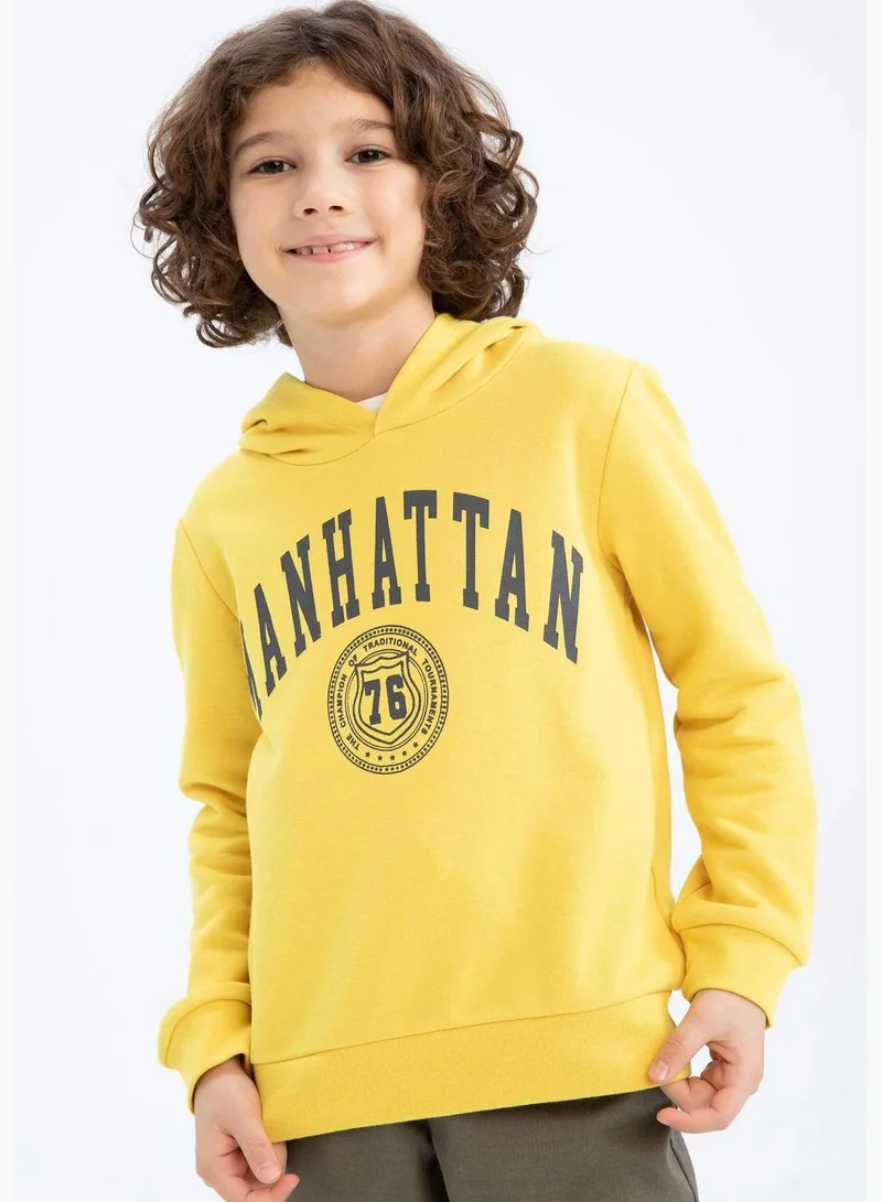DeFacto Boy Hooded Long Sleeve Knitted Sweatshirt