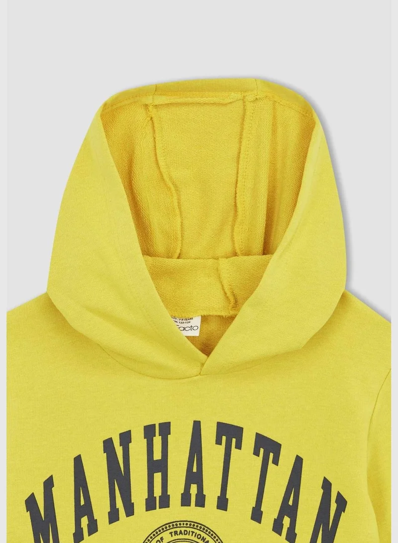 DeFacto Boy Hooded Long Sleeve Knitted Sweatshirt