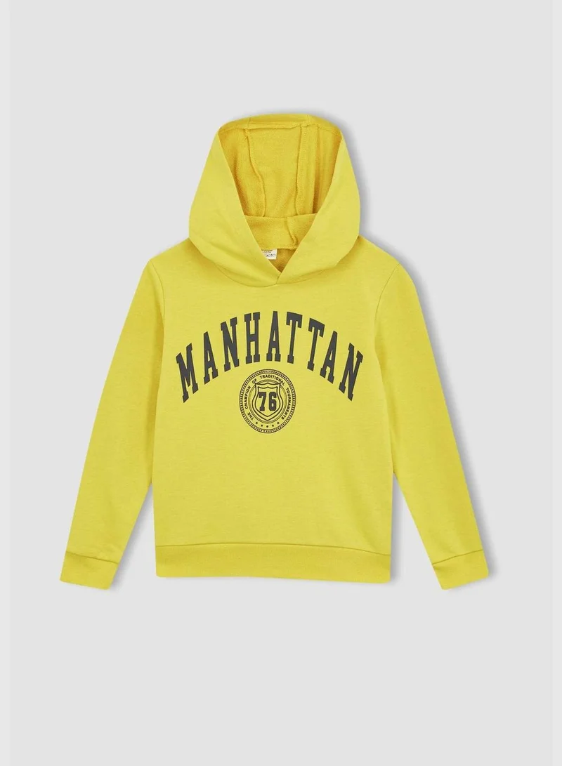DeFacto Boy Hooded Long Sleeve Knitted Sweatshirt