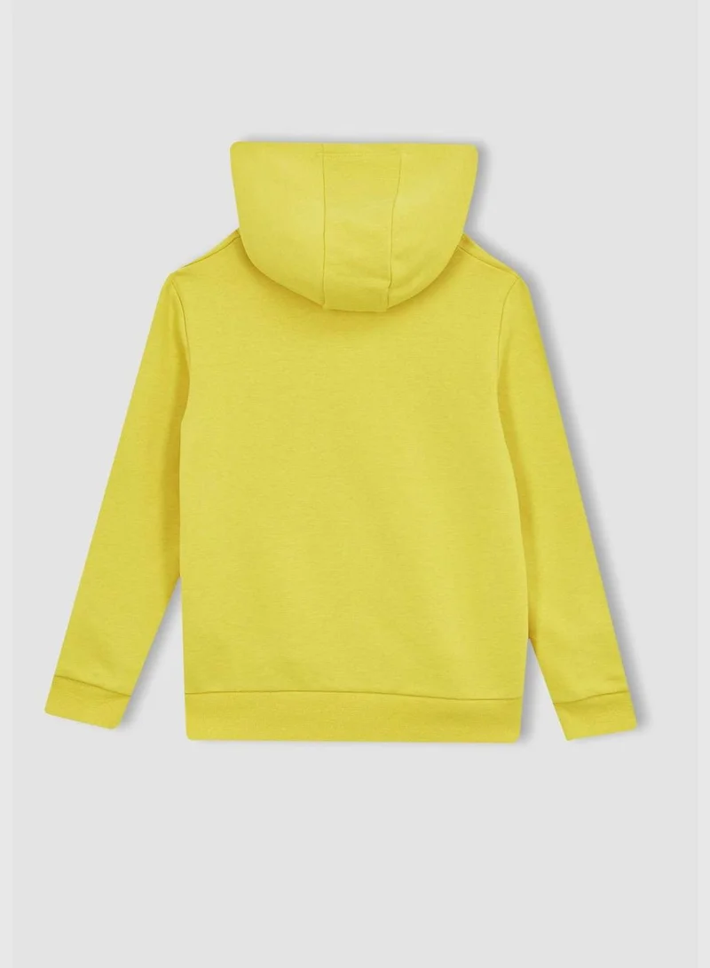 DeFacto Boy Hooded Long Sleeve Knitted Sweatshirt