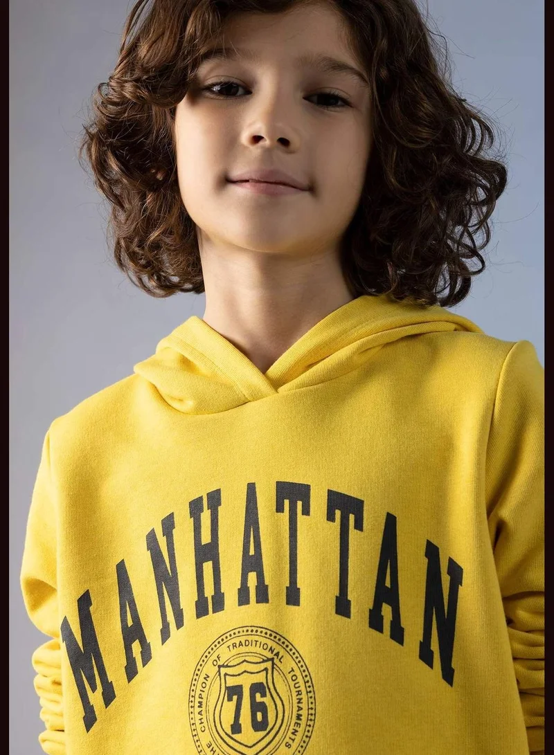 DeFacto Boy Hooded Long Sleeve Knitted Sweatshirt