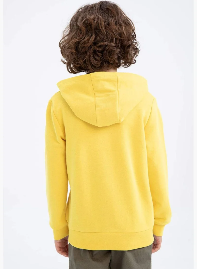 DeFacto Boy Hooded Long Sleeve Knitted Sweatshirt