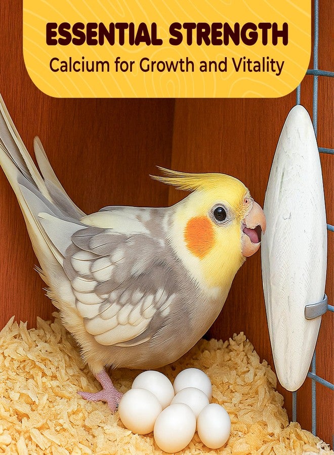 SunGrow Small Cuttlefish Bones for Cockatiels, Turtles, Shrimp, Dog Calcium, Cage Holder NOT Included, 3 Pcs per Pack - Image 4