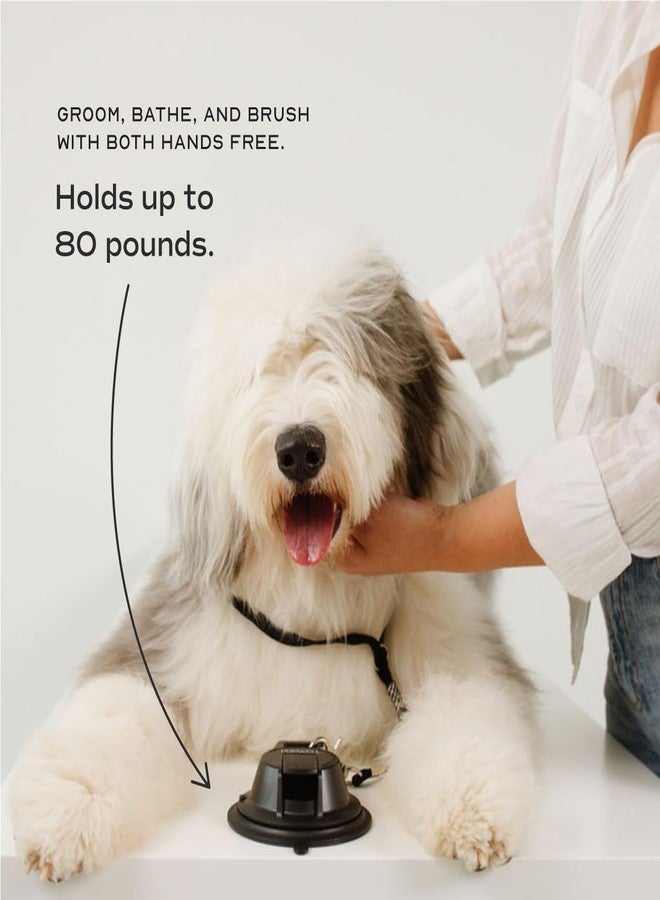 Pupwell Stay in Place and Heavy Duty Suction Cup Dog Leash to Keep Them in Place for Bath Time and Grooming with an Adjustable Loop - Image 2